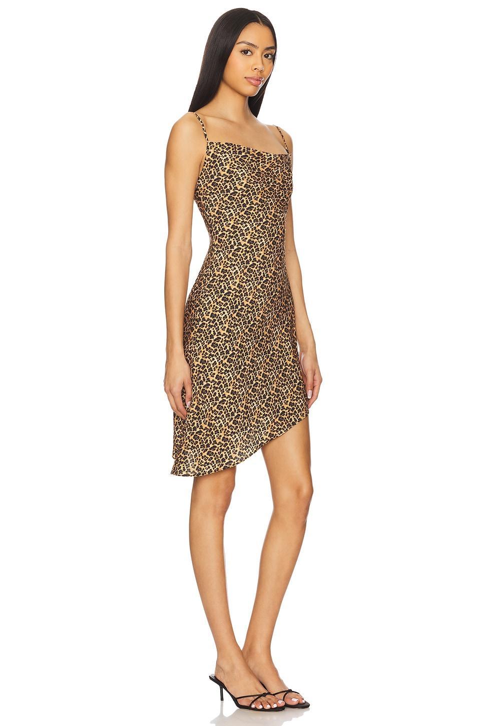 Helga Dress Miaou Product Image