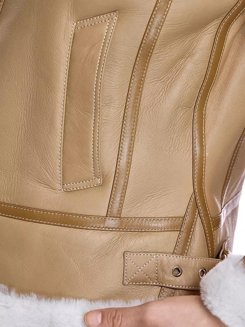 Leather & Shearling Flight Jacket Product Image