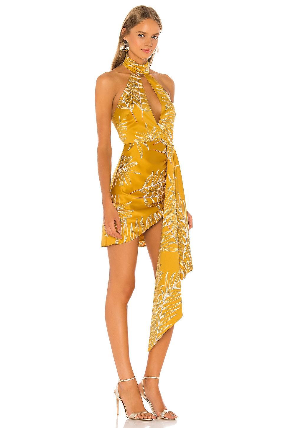 Antonia Mini Dress Camila Coelho Product Image
