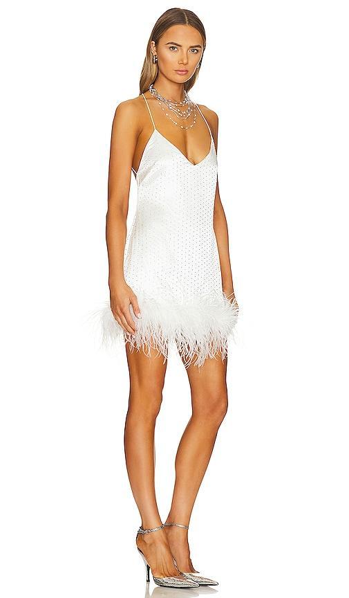 Susana Feather Dress retrofete Product Image