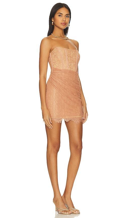 Belladonna Mini Dress NBD Product Image