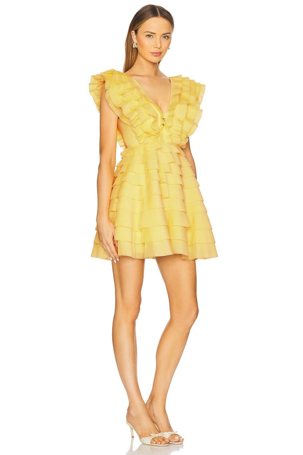 Reflection Mini Dress Aje Product Image