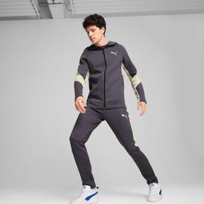 PUMA EVOSTRIPE Full-Zip Men's Hoodie in Galactic Grey Product Image