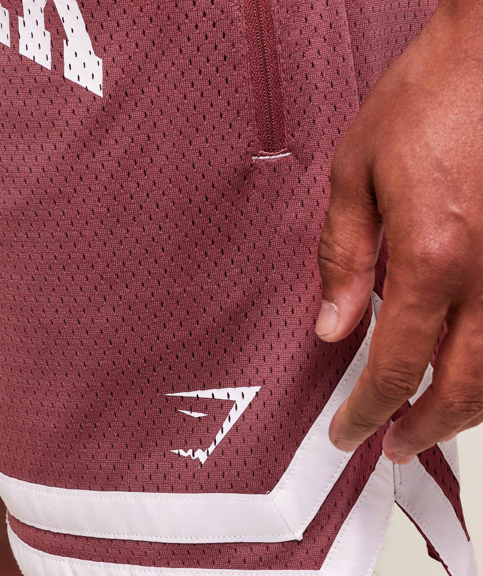 Varsity Mesh Shorts Product Image