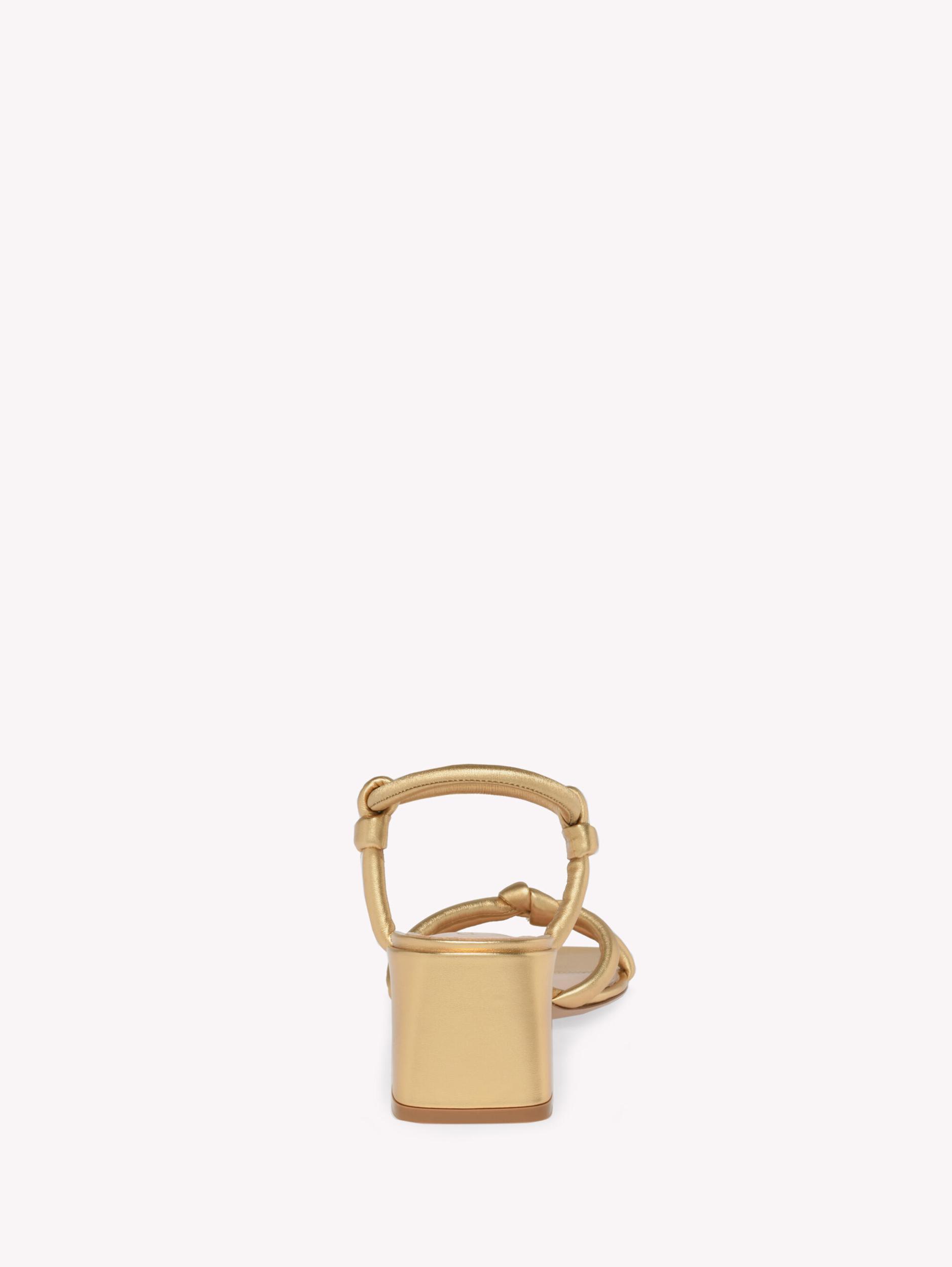 JUNO 55 Gianvito Rossi Product Image