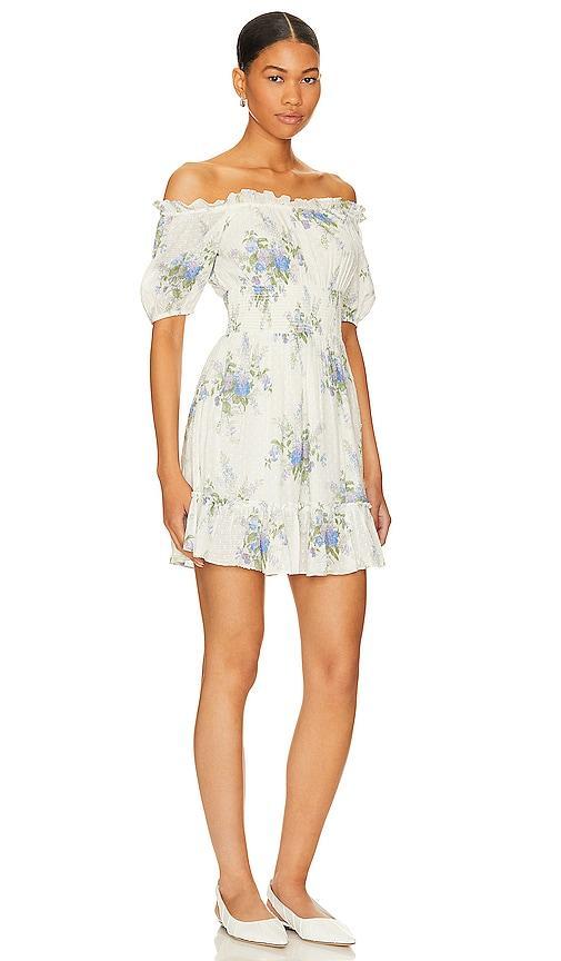 Lai Dress Product Image