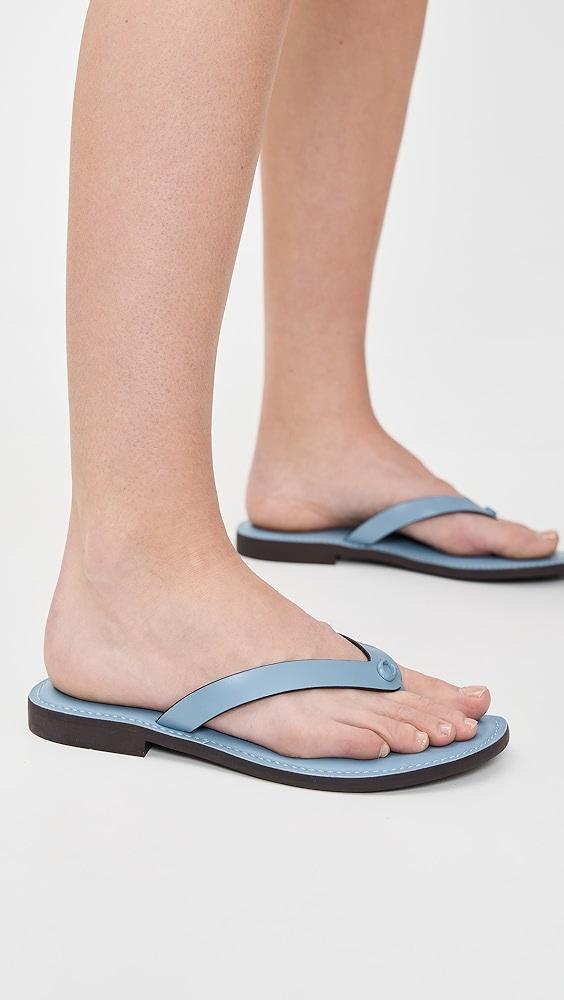 Coach Brianna Flip Flops | Shopbop Product Image
