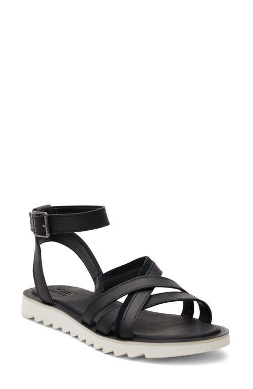 TOMS Rory Women's Shoes Product Image
