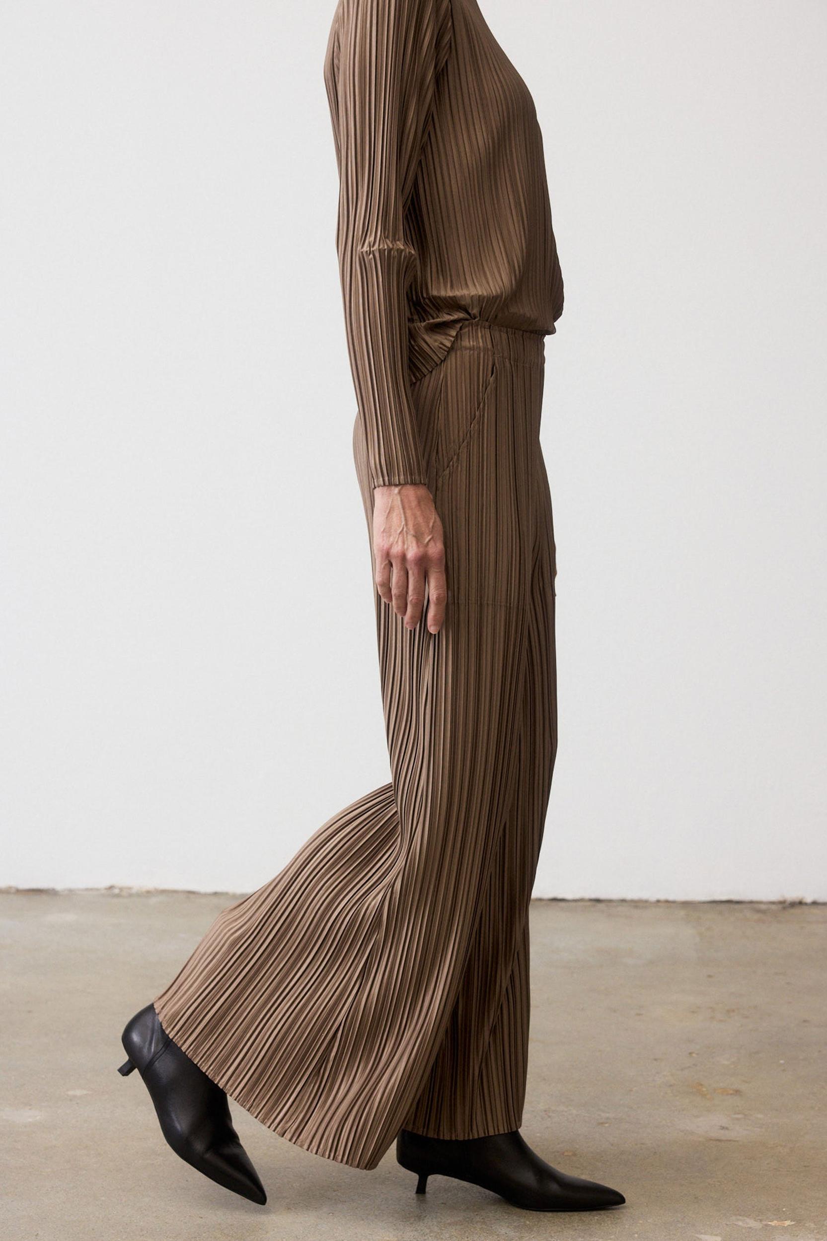 Relaxed Pleated Pants Product Image