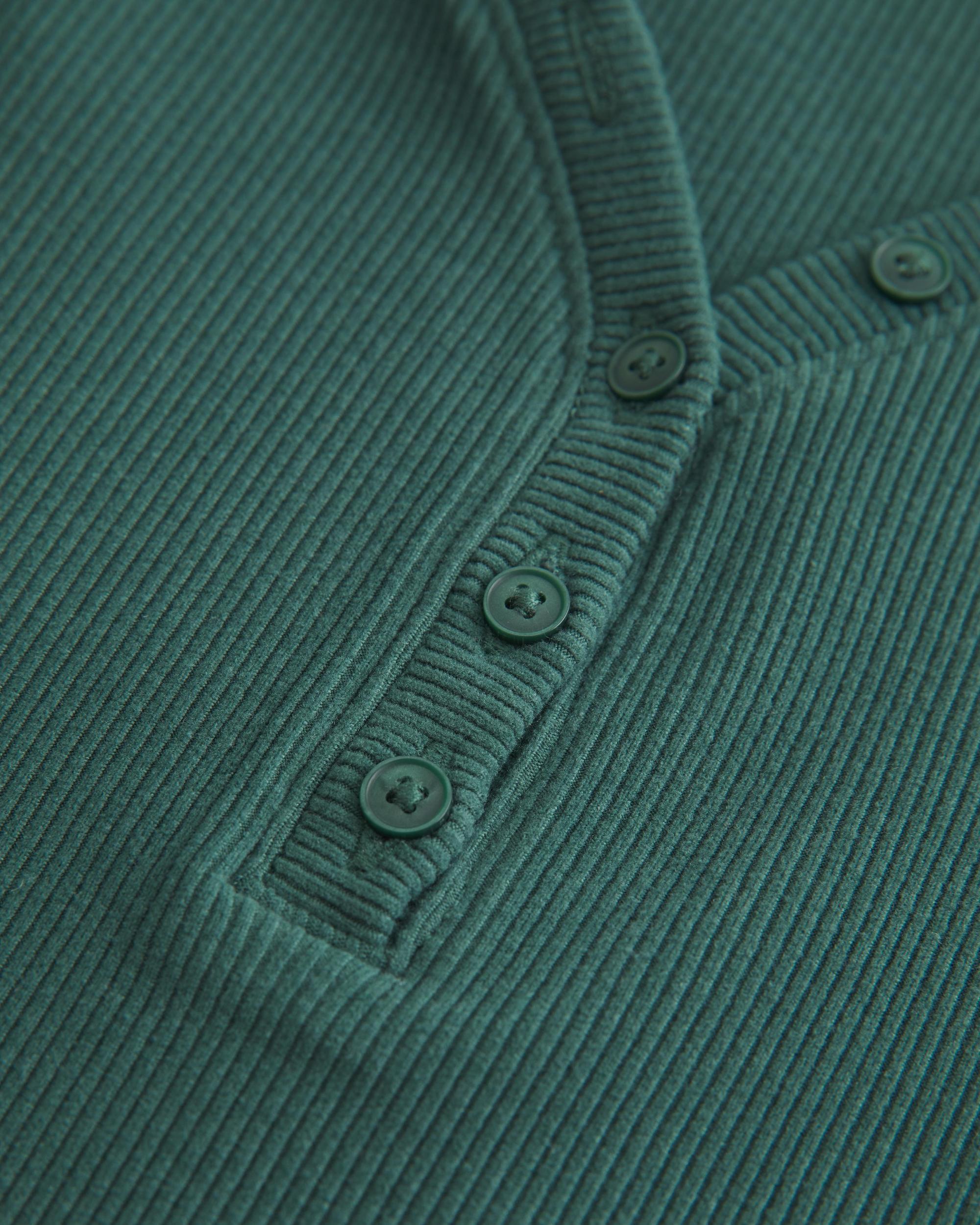 Cozy Ribbed Seamless Fabric Henley Product Image