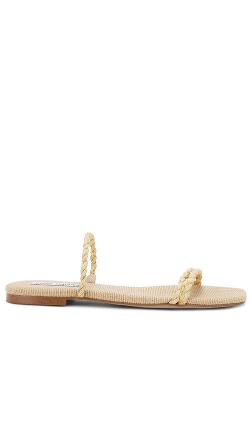 Tahiti Sandal Steve Madden Product Image