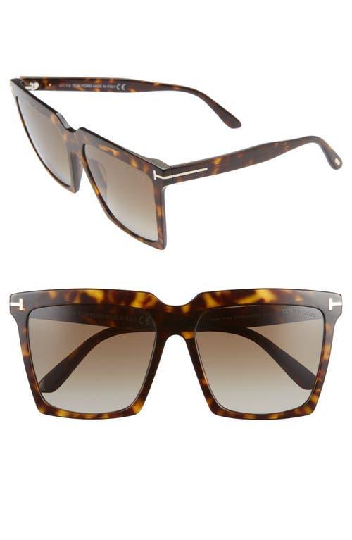 Tom Ford Sabrina Square Sunglasses, 58mm Product Image