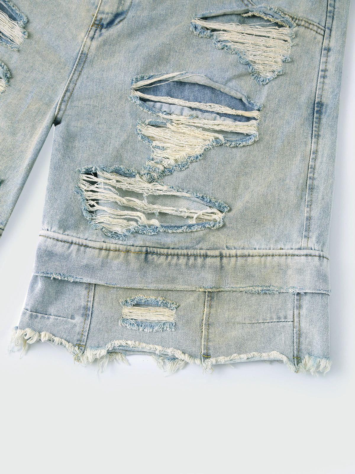 Aelfric Eden Two Layer Distressed Jorts Product Image