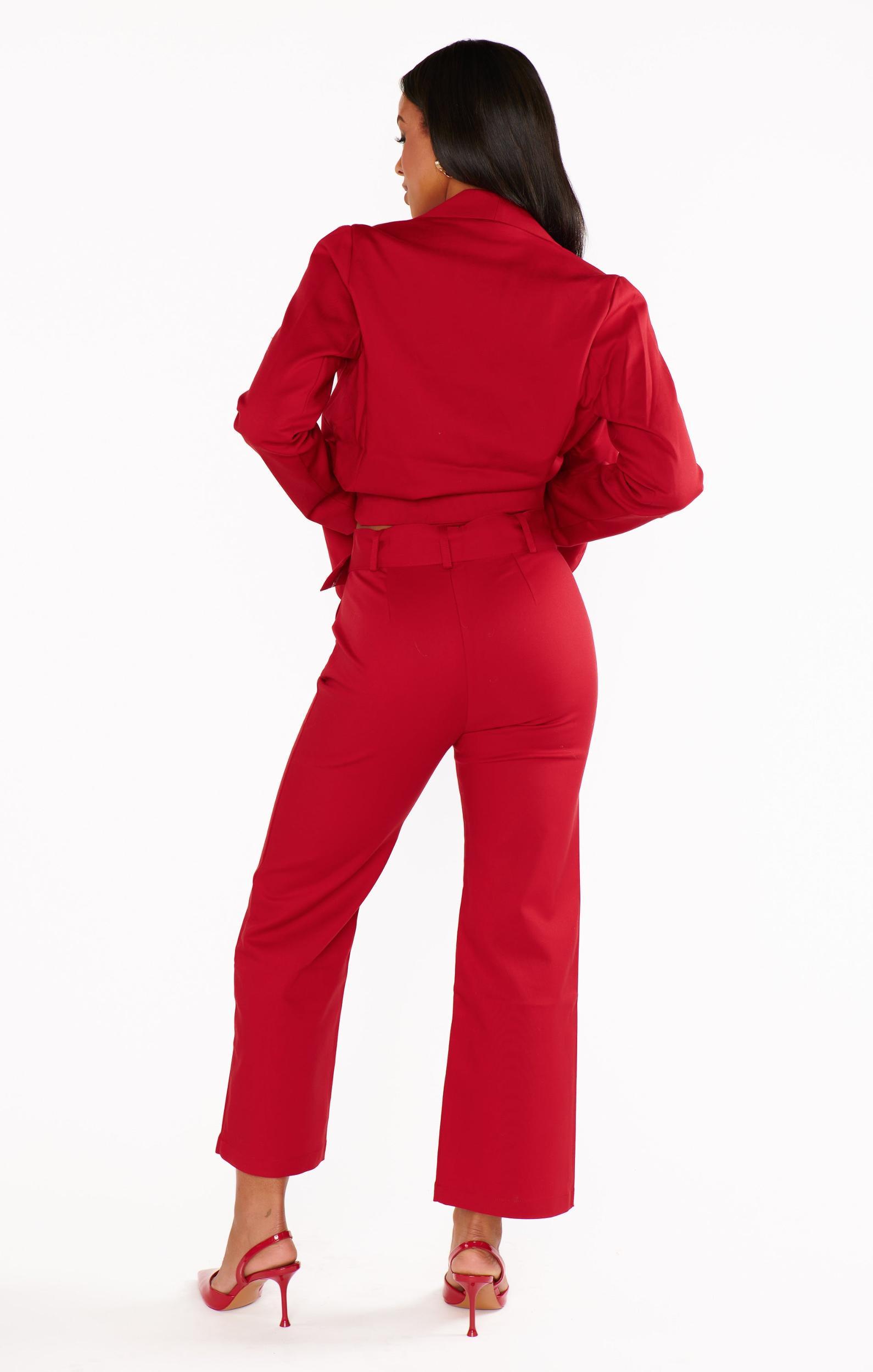DJ Cropped Pants ~ Red Suiting Product Image