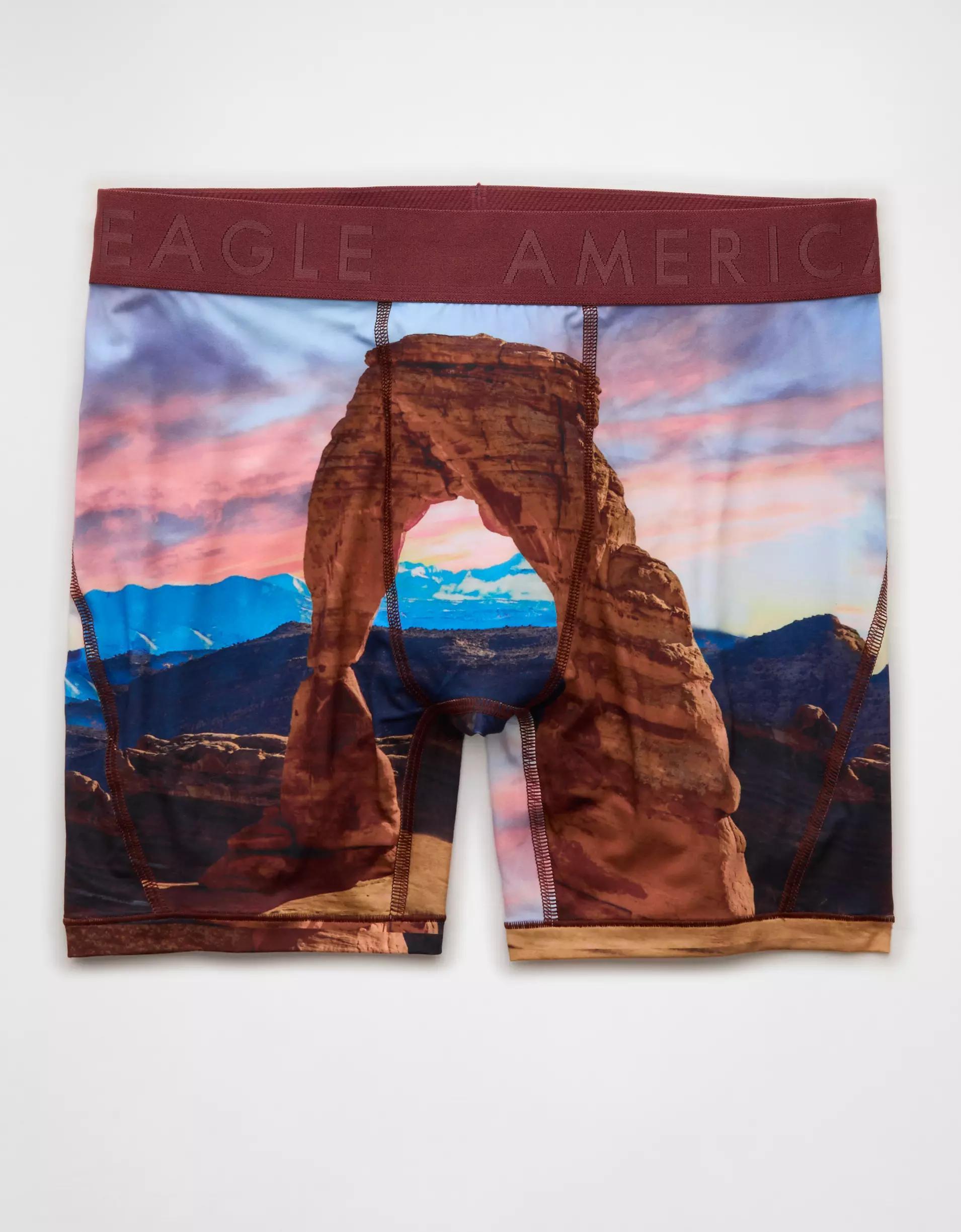 AEO Men's Lake 6" Flex Boxer Brief Product Image