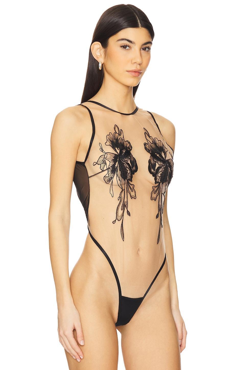 Safiya Bodysuit BLUEBELLA Product Image