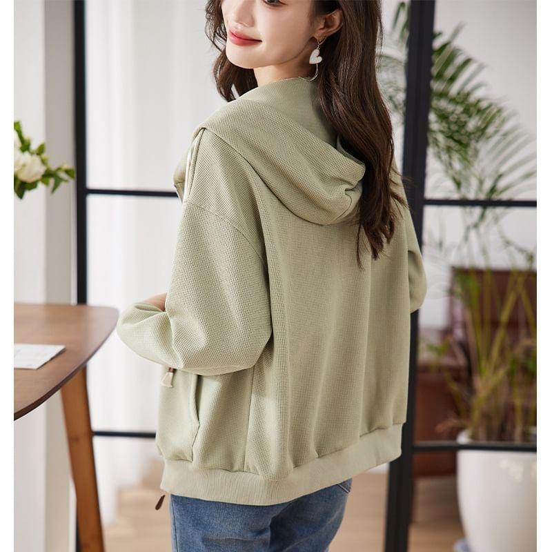 Plain Zip Hoodie Product Image