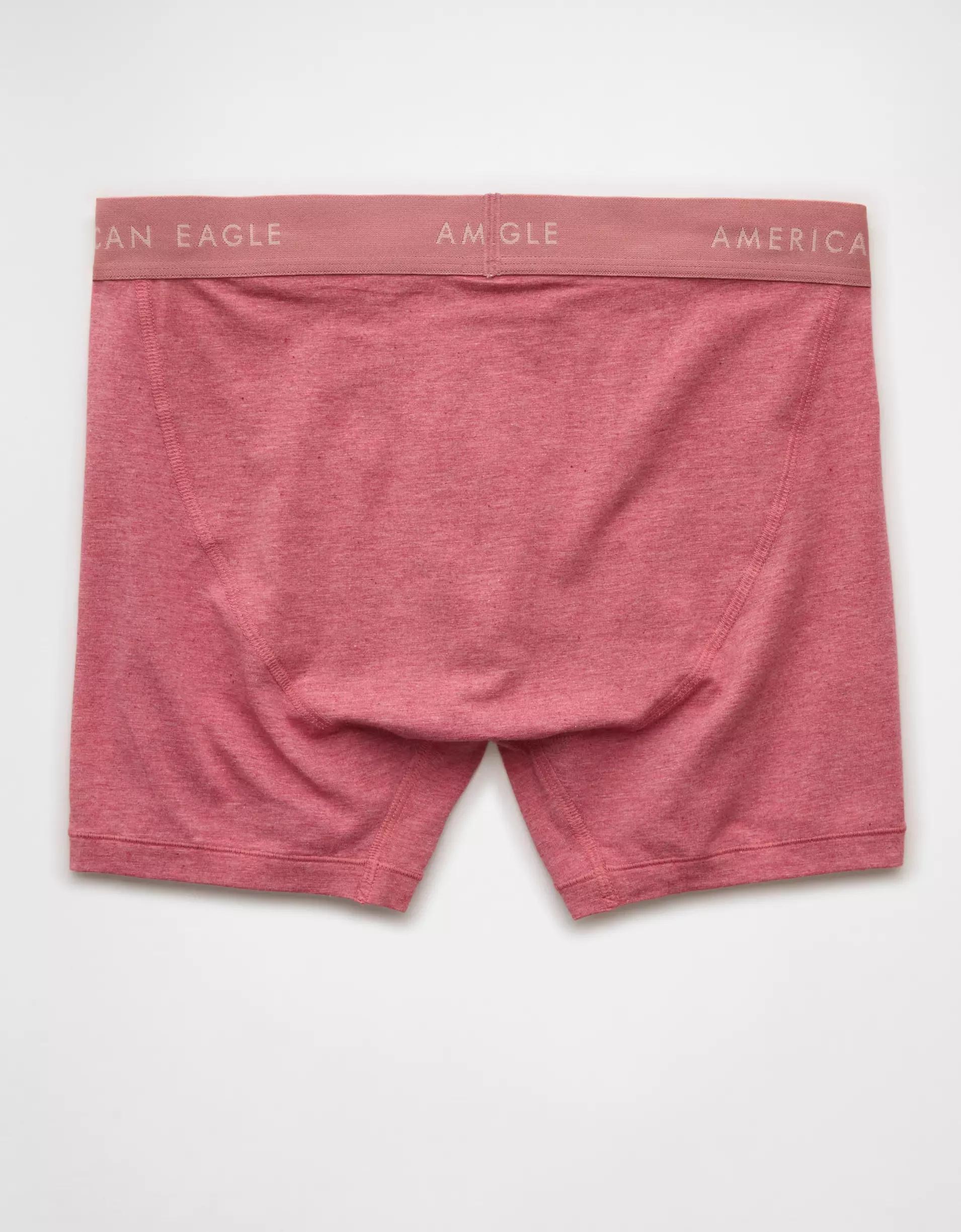 AEO Men's 4.5" Classic Boxer Brief Product Image