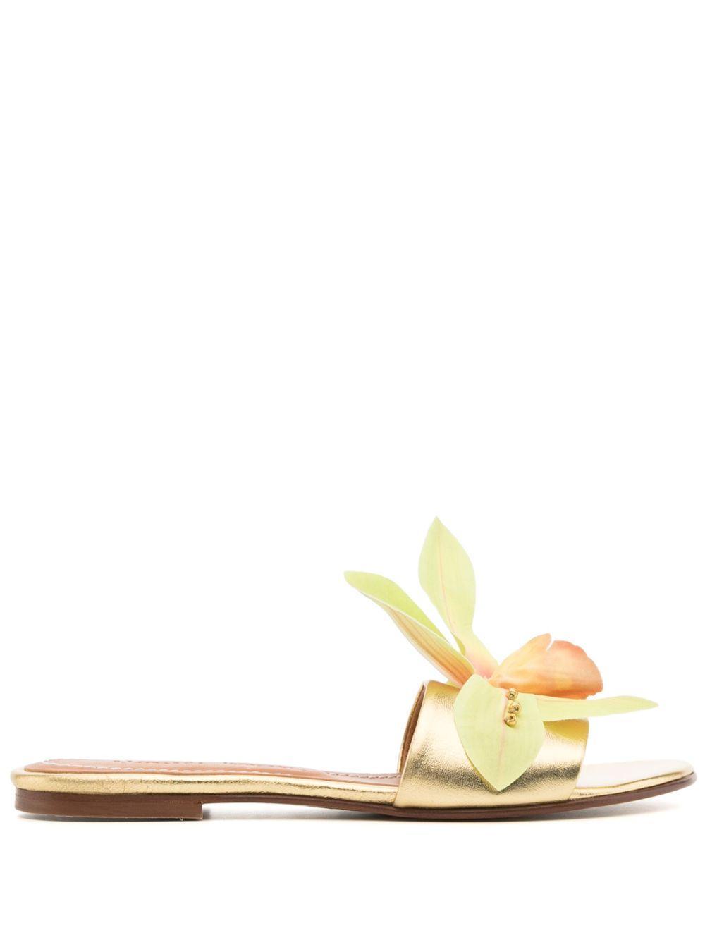 Product Card