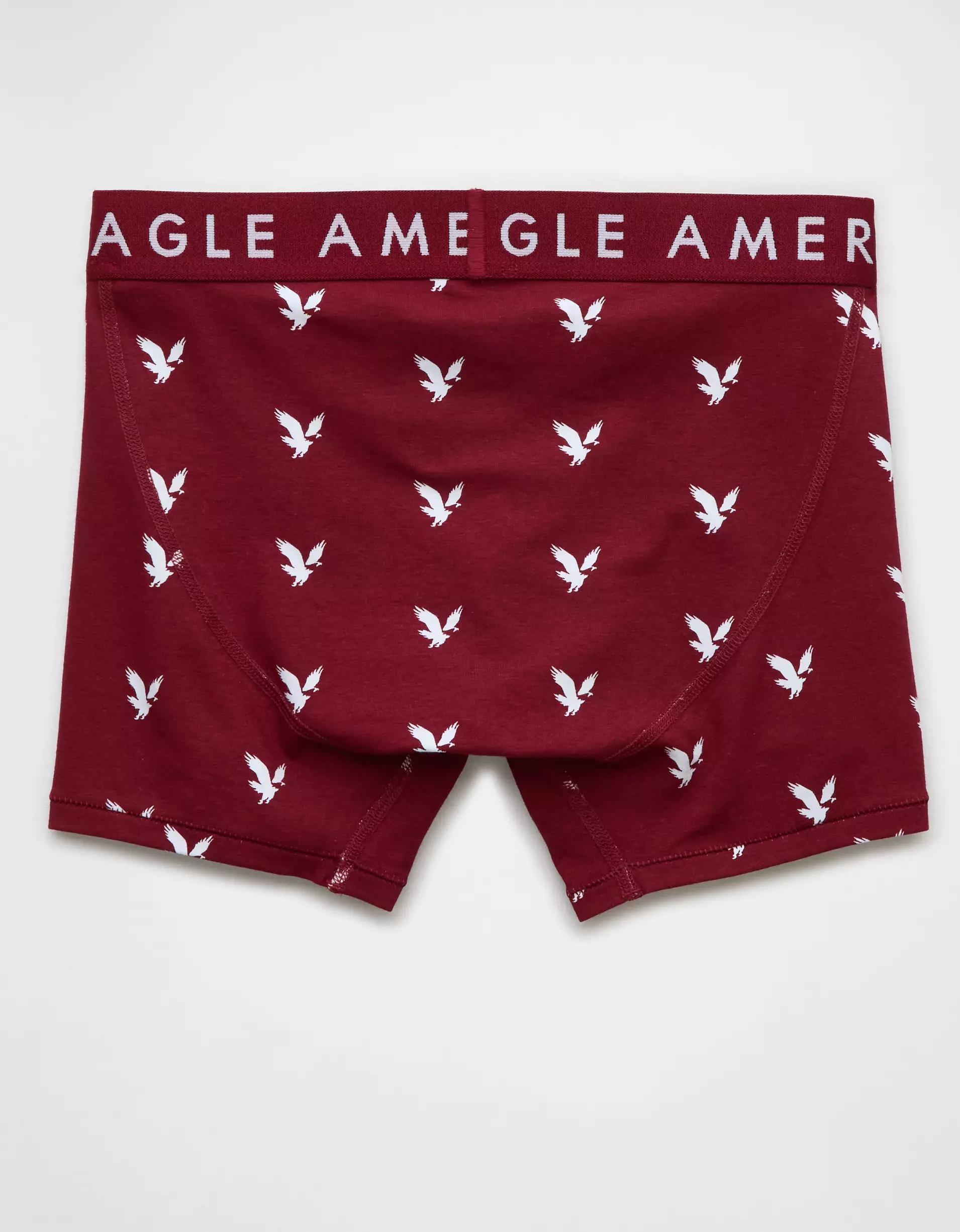 AEO Eagles 4.5" Classic Boxer Brief Product Image