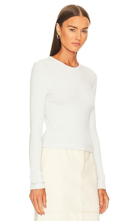 Alma Shrunken Crew Neck Tee AGOLDE Product Image