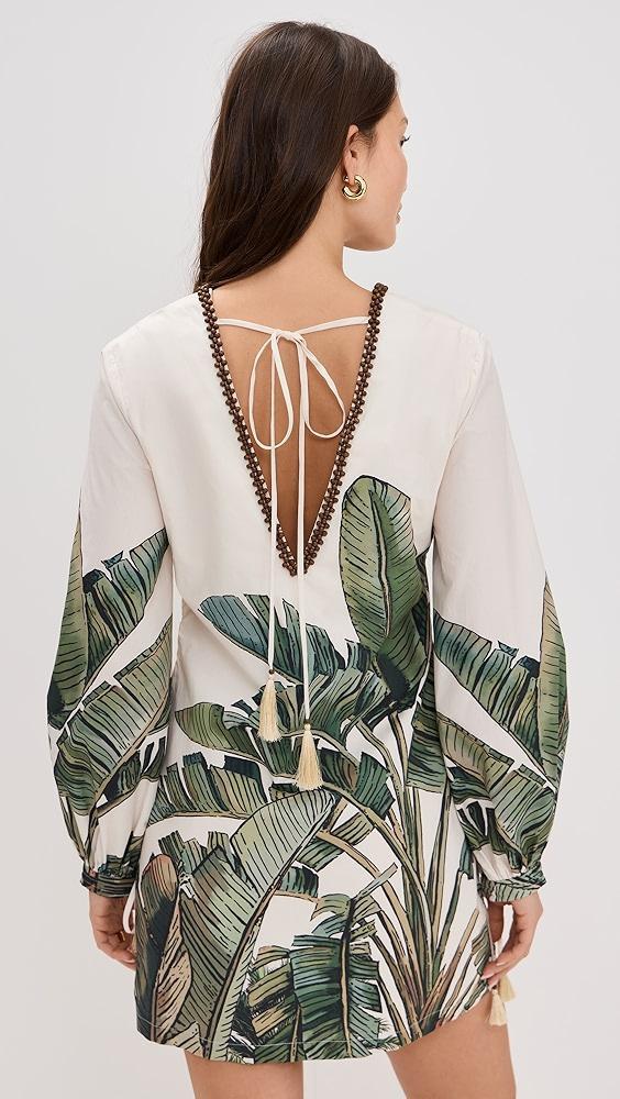 Andres Otalora Coqueta Soy Dress | Shopbop Product Image