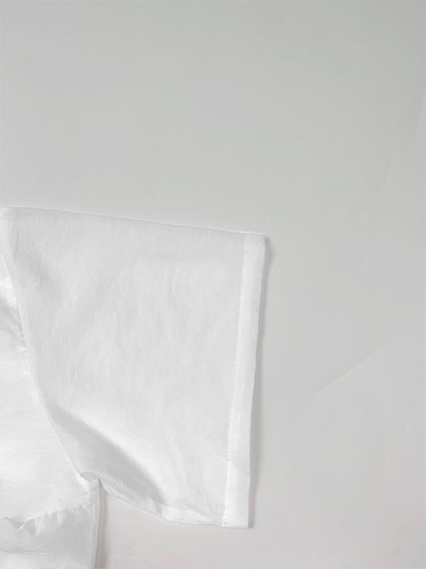 Half Sleeves High Waisted Pleated See-Through Solid Color Lapel Midi Dresses Shirt Dress Product Image
