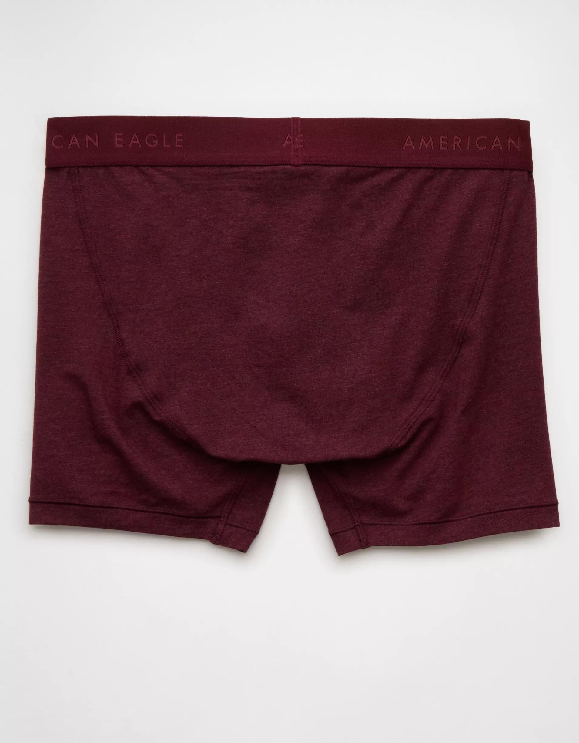 AEO Eagles 4.5" Classic Boxer Brief Product Image