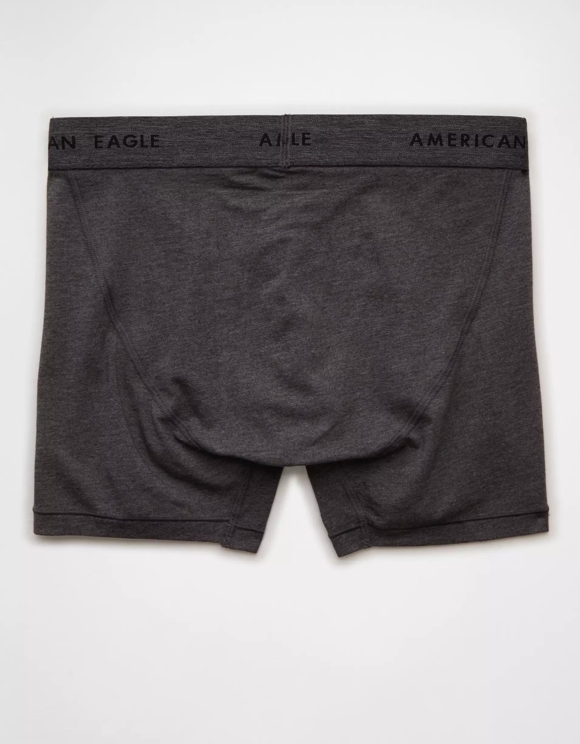 AEO Men's 4.5" Classic Boxer Brief Product Image