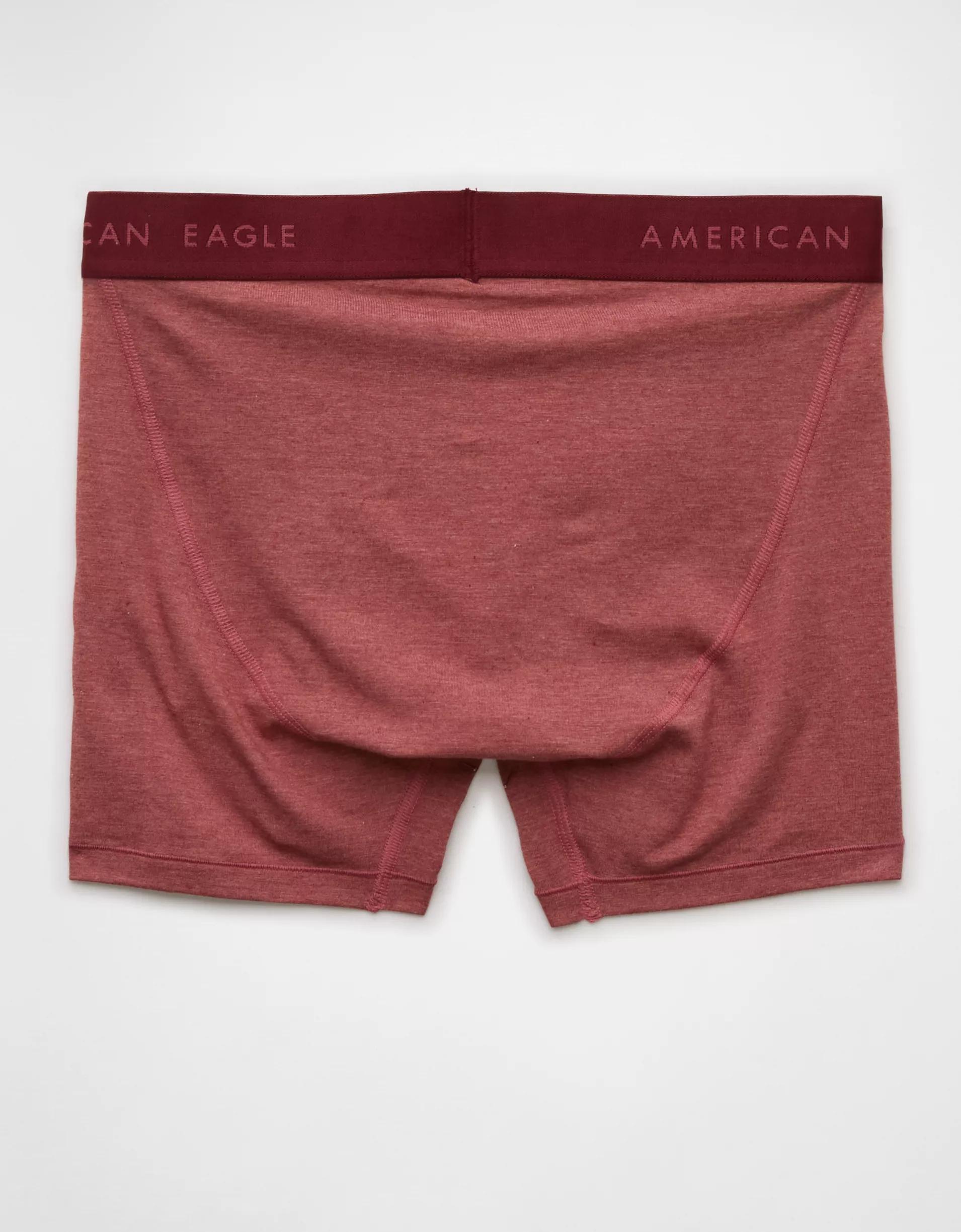 AEO Men's 4.5" Pasta Classic Boxer Brief Product Image