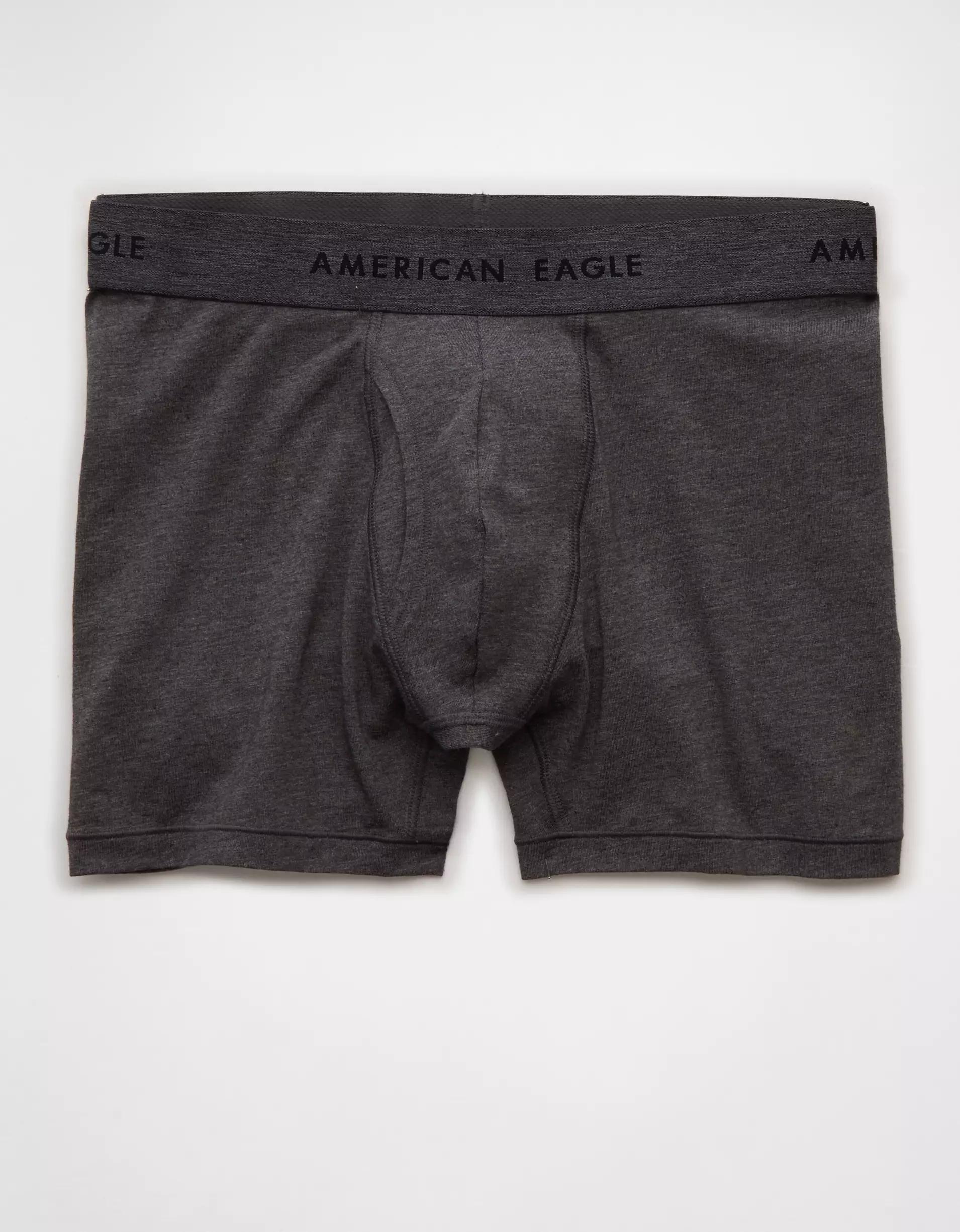 AEO Men's 4.5" Classic Boxer Brief Product Image
