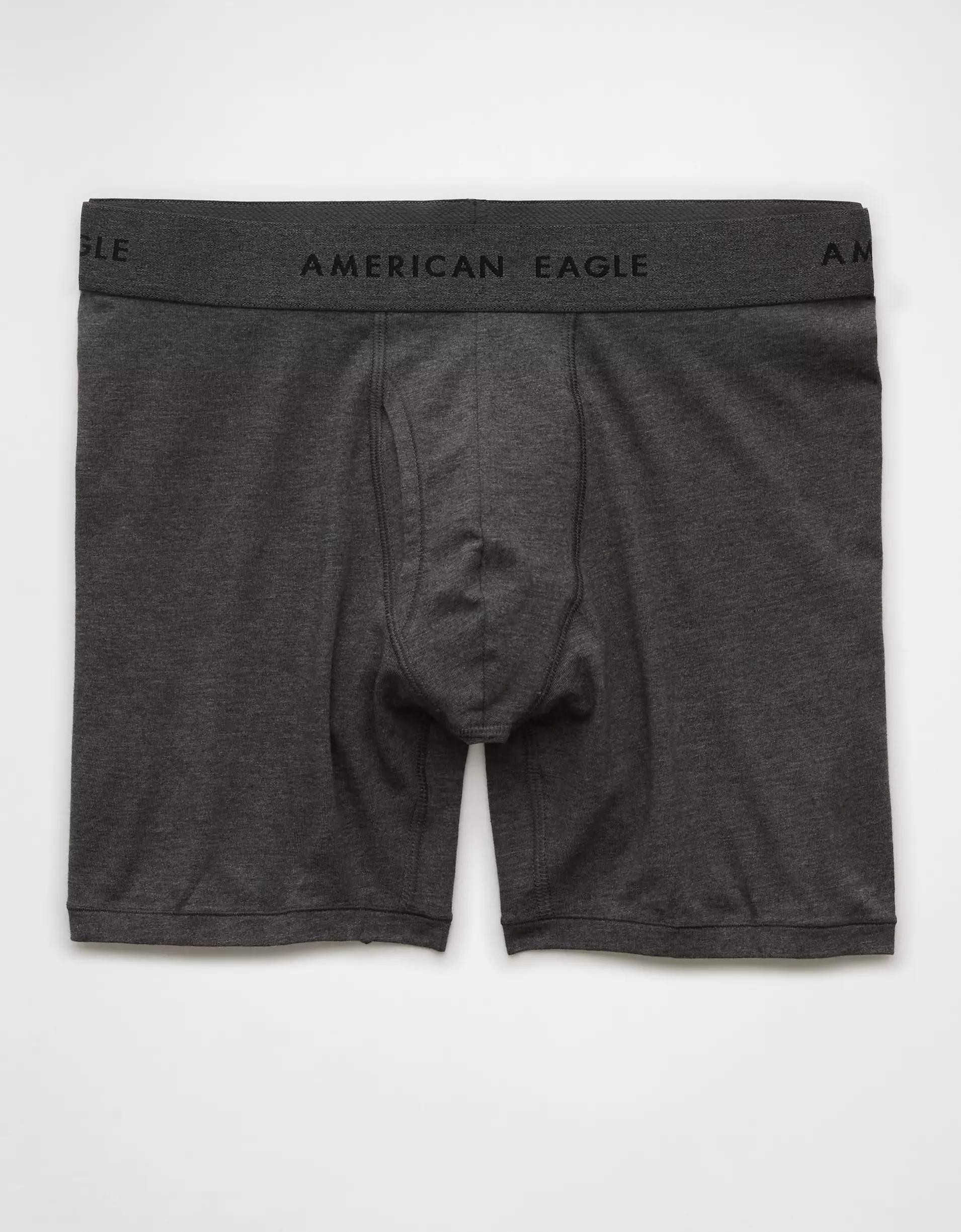 AEO Men's 6" Classic Boxer Brief Product Image