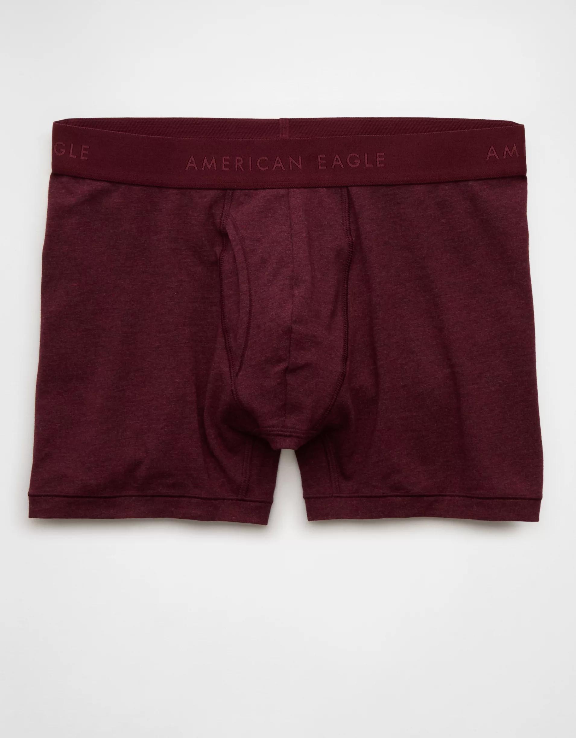 AEO Eagles 4.5" Classic Boxer Brief Product Image