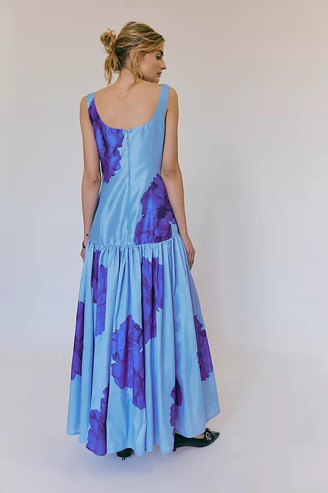 Hutch The Ridge Dress Product Image