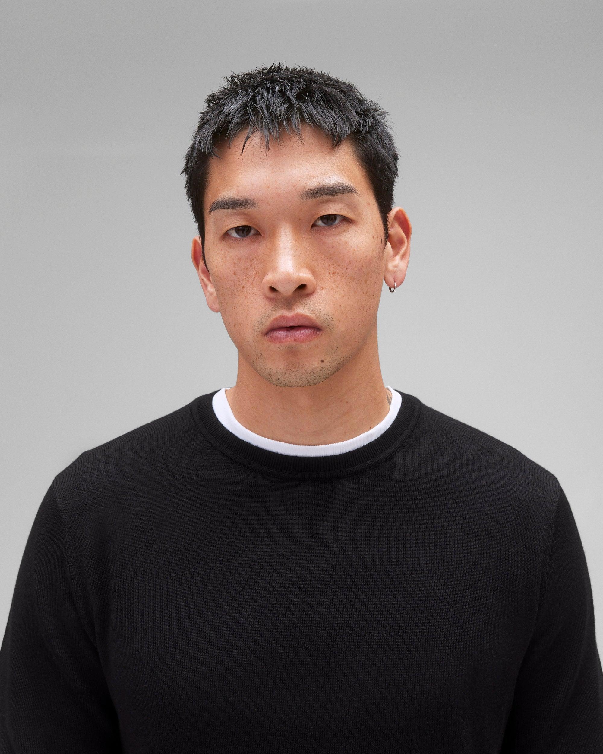 Lightweight Merino Harry Crewneck Male Product Image