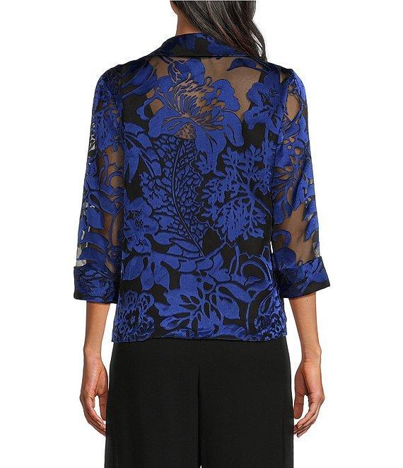 Alex Evenings Chiffon V-Neck 3/4 Illusion Sleeve Twin Set Product Image