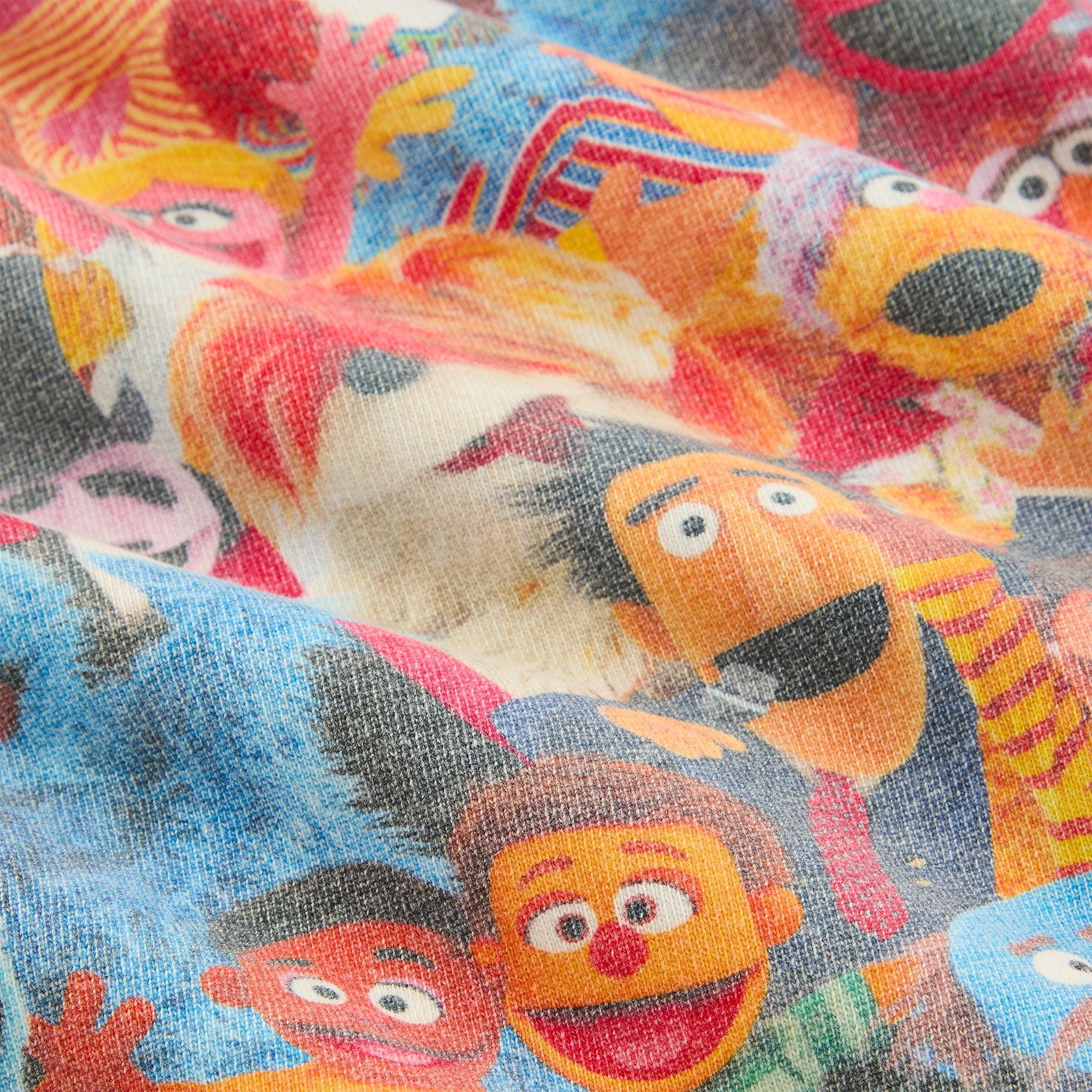 Kith for Sesame Street Family Williams III Hoodie - Multi Male Product Image