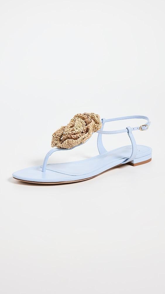 Alexandre Birman Sadie Flower Flats | Shopbop Product Image