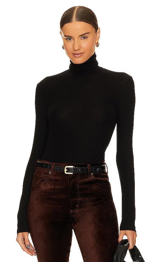 Pascale Turtleneck Top Product Image