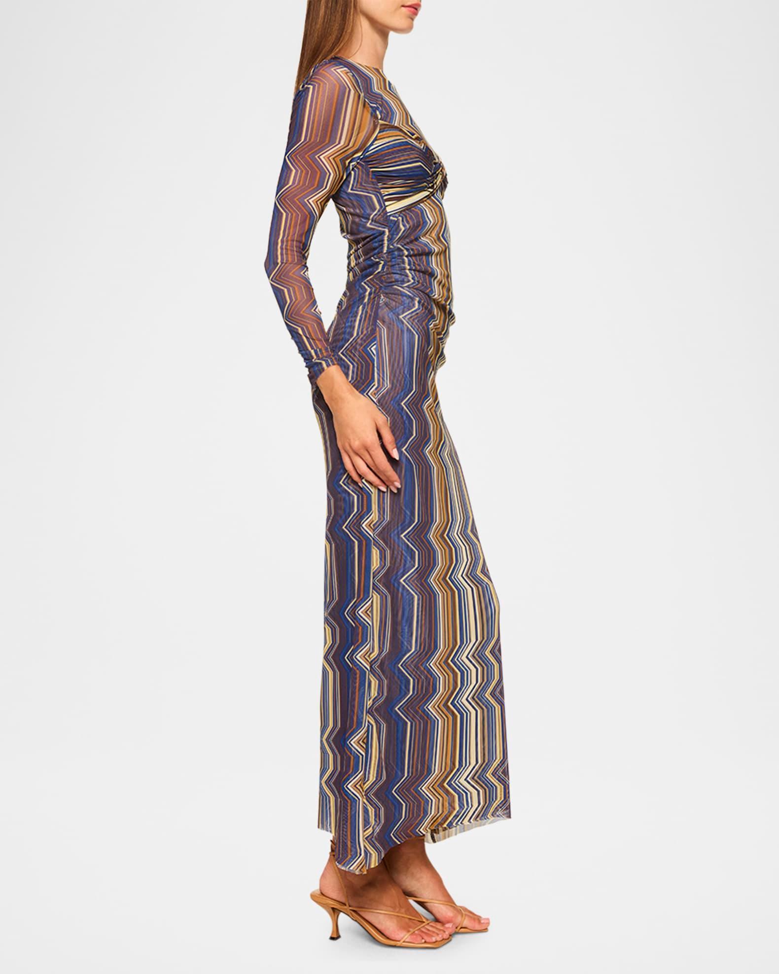Idris Printed Mesh Maxi Dress Product Image