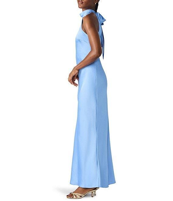Steve Madden Lara High Neck Sleeveless Maxi Dress Product Image