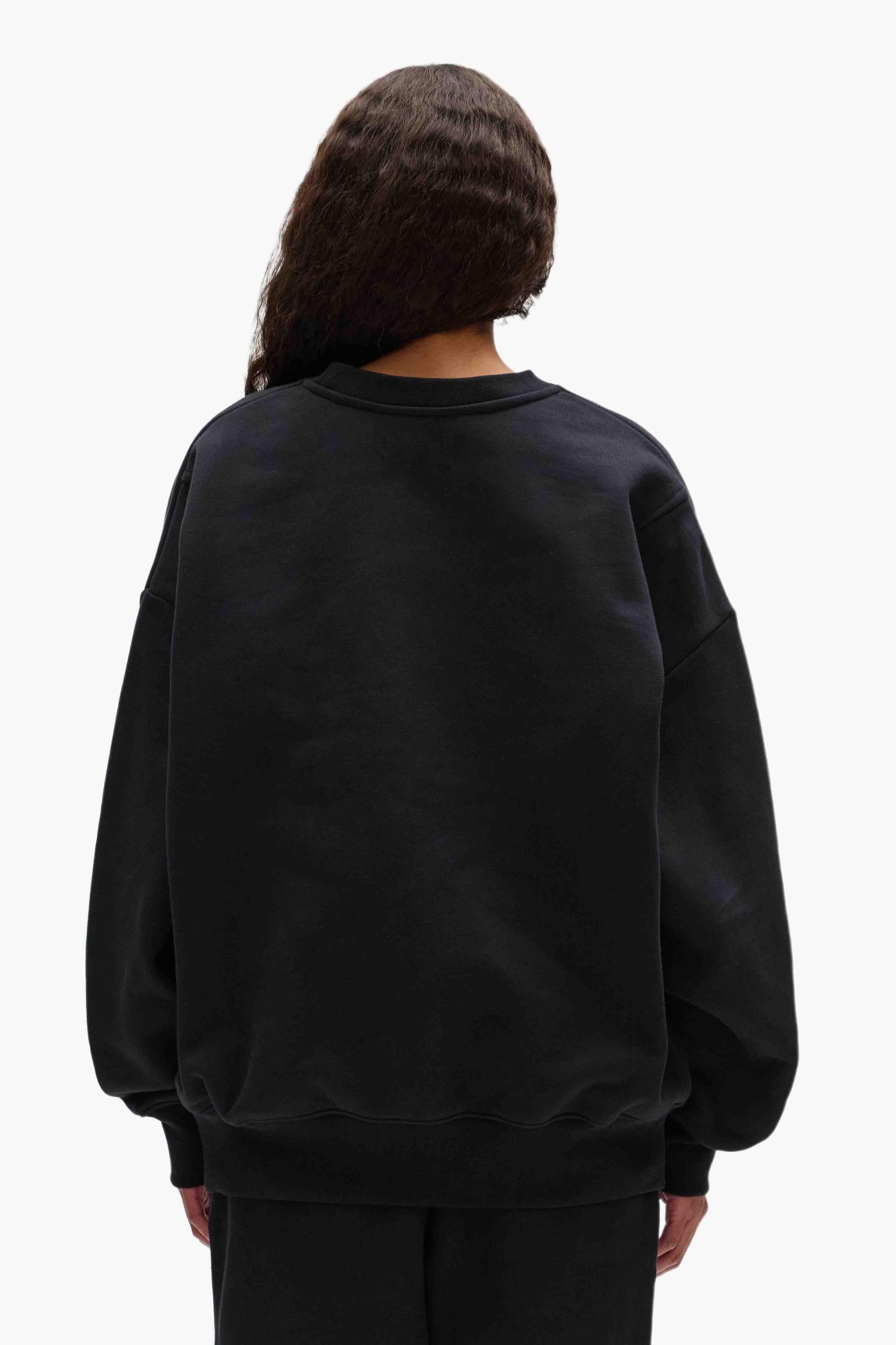Blank Crewneck Sweater Male Product Image