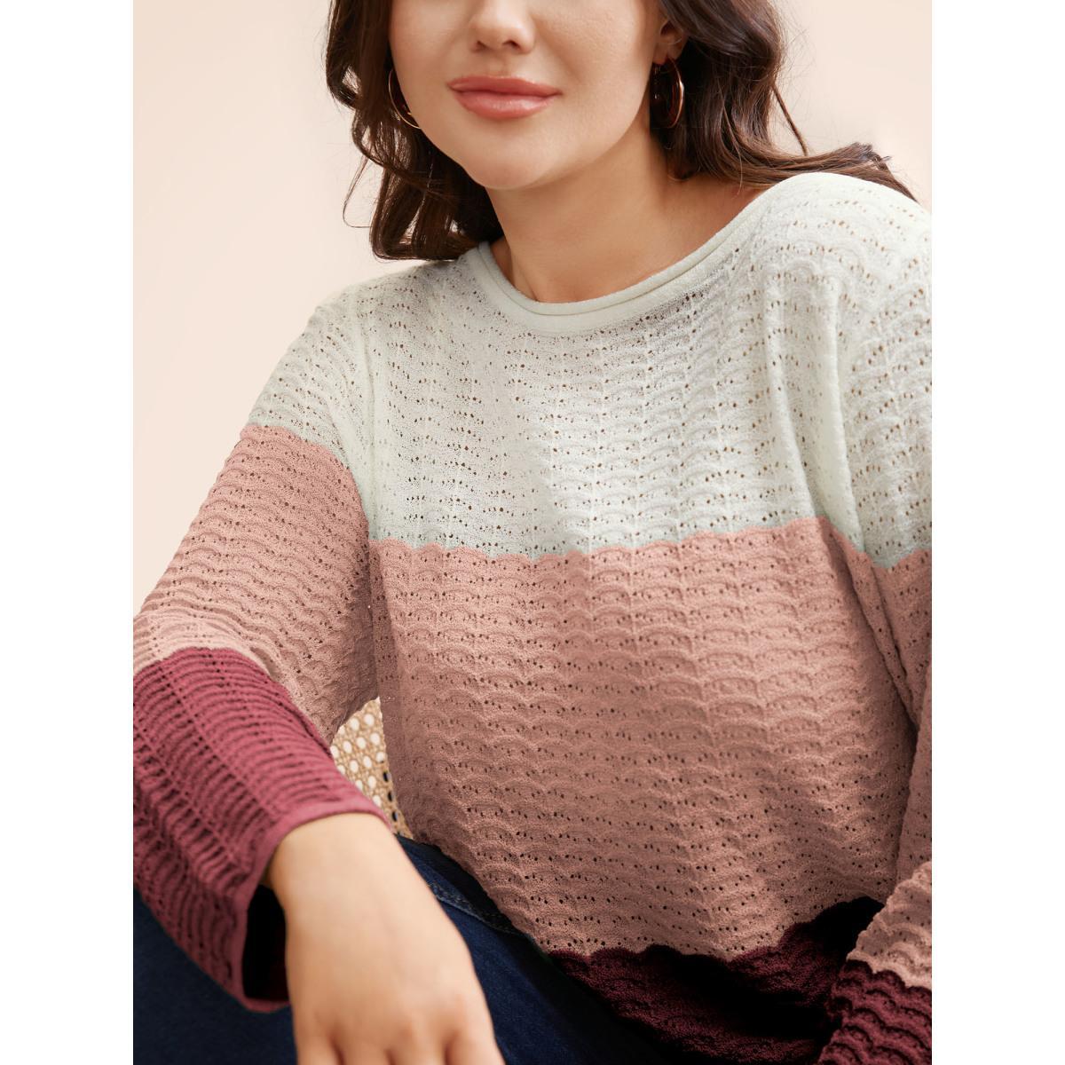 Plus Size Color Contrast Boat Neck Lightweight Pullover Plum Women Casual Loose Long Sleeve Boat Neck Everyday Pullovers BloomChic 14-16/1X Product Image