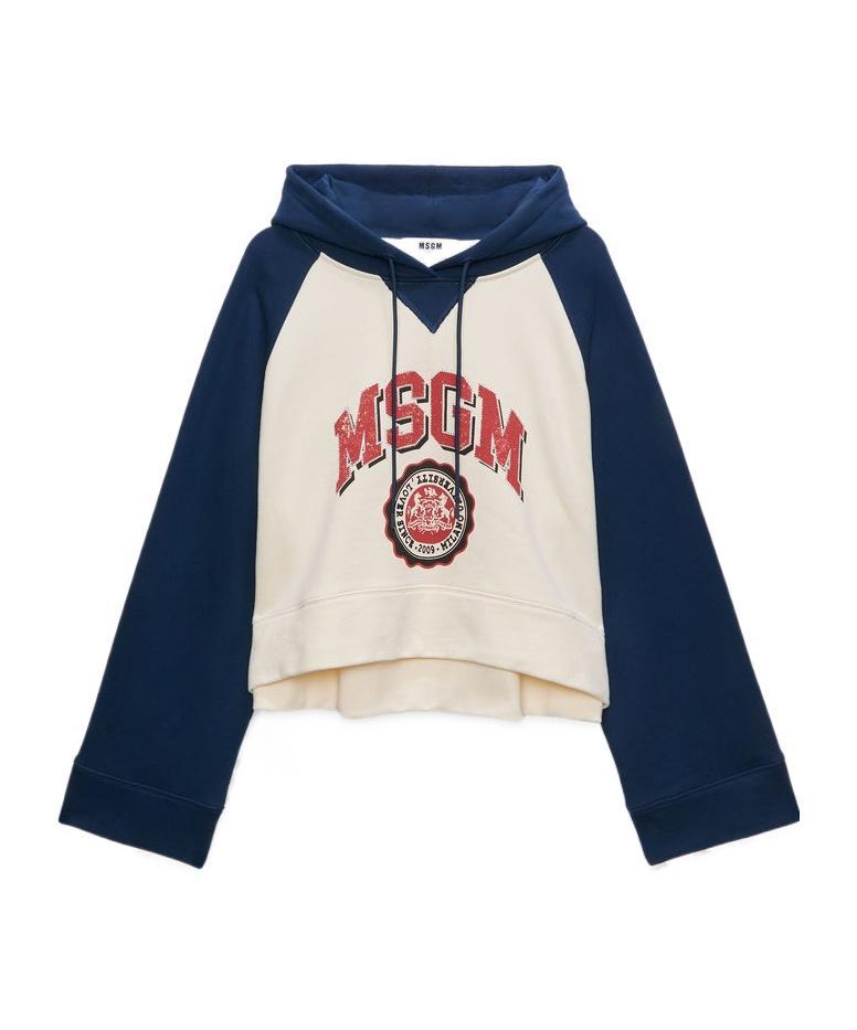 MSGM Hoodie Mit Logo-print In Multicolor Product Image