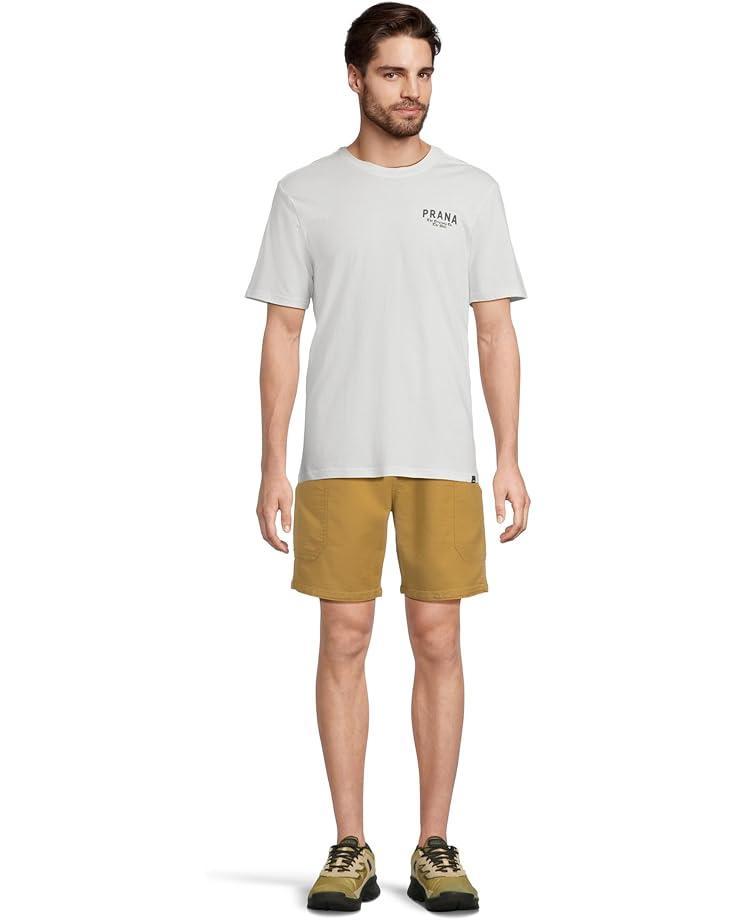 Stretch Zion Shorts Product Image