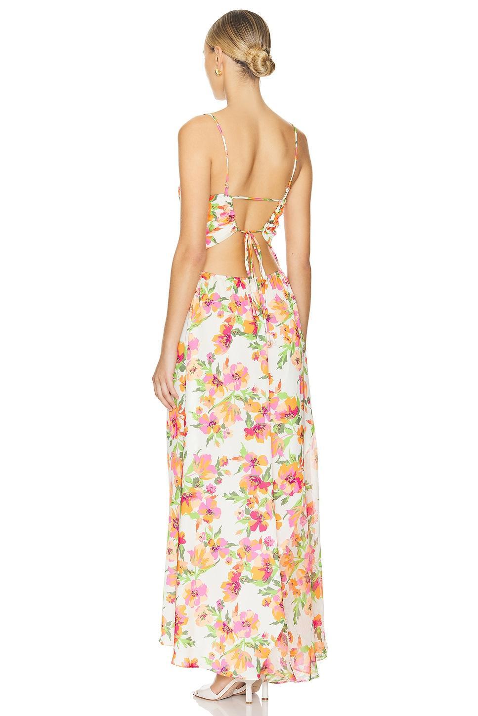 Negine Maxi Dress Product Image
