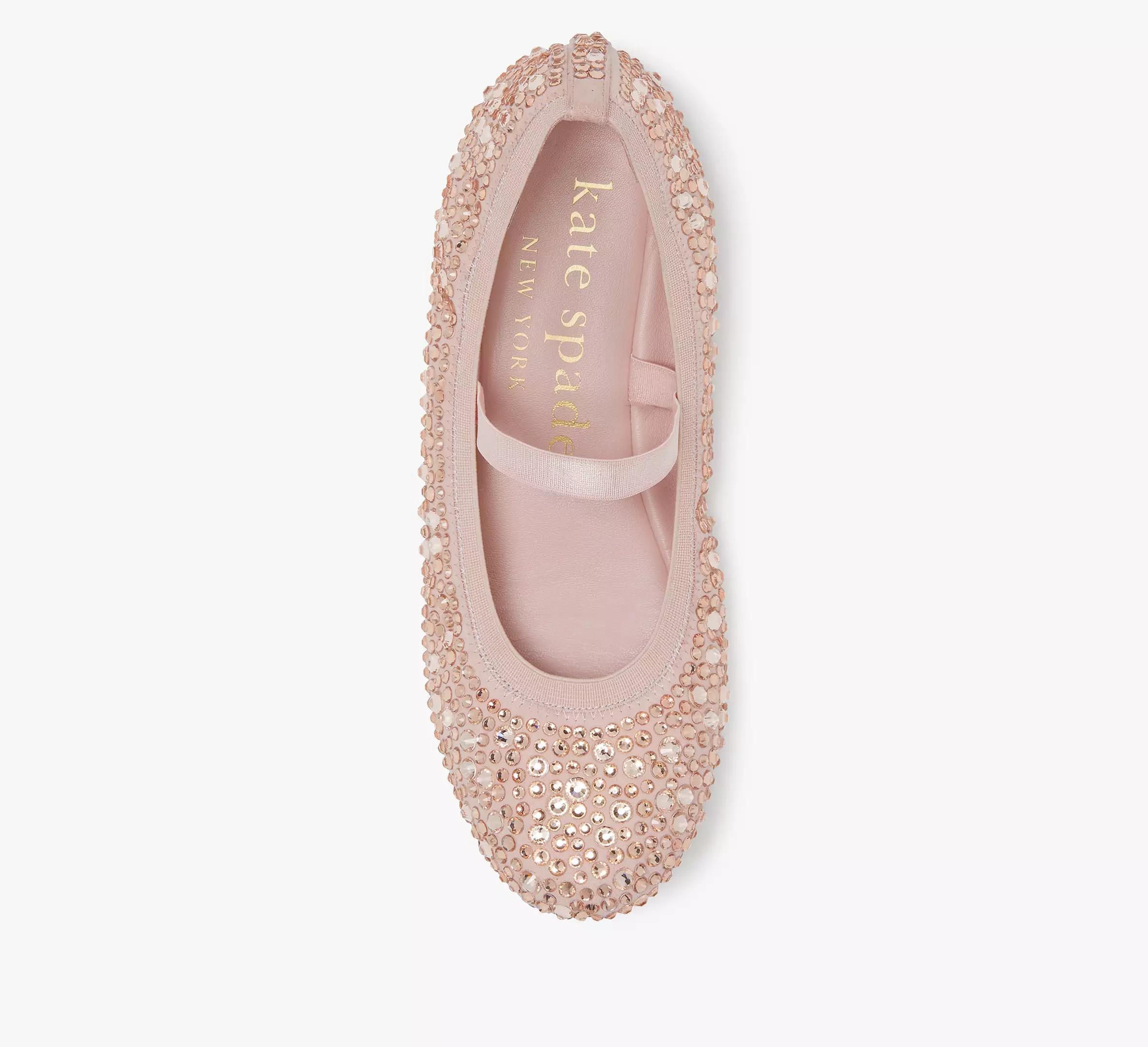 Violette Mary Jane Ballet Flats Product Image