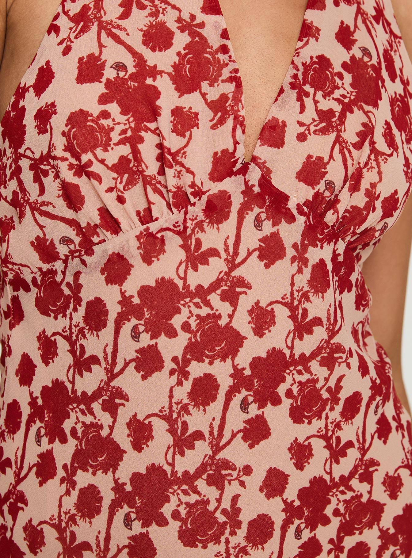 Neelia Mini Dress Red Floral Petite Product Image