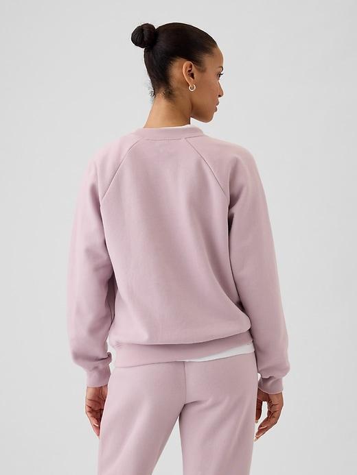VintageSoft Raglan Sweatshirt Product Image
