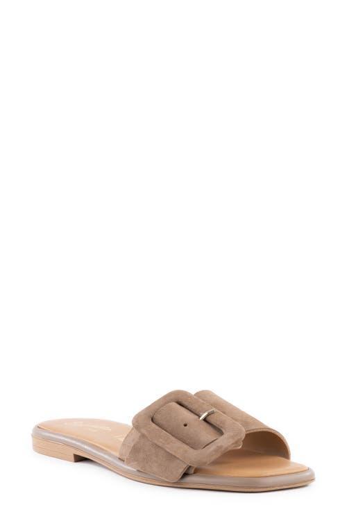 Seychelles Manhattan Suede) Women's Shoes Product Image